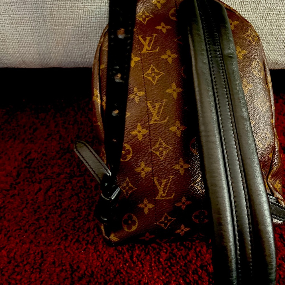 It’s a leather Palm spring  PM Louis Vuitton